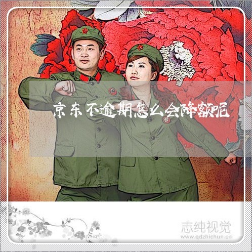 京东不逾期怎么会降额呢 京东不逾期怎么会降额呢