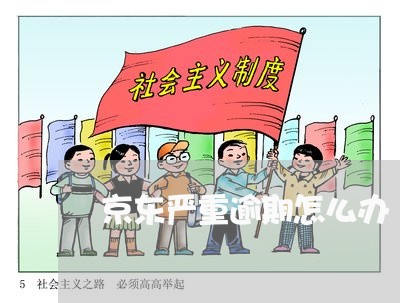 京东严重逾期怎么办