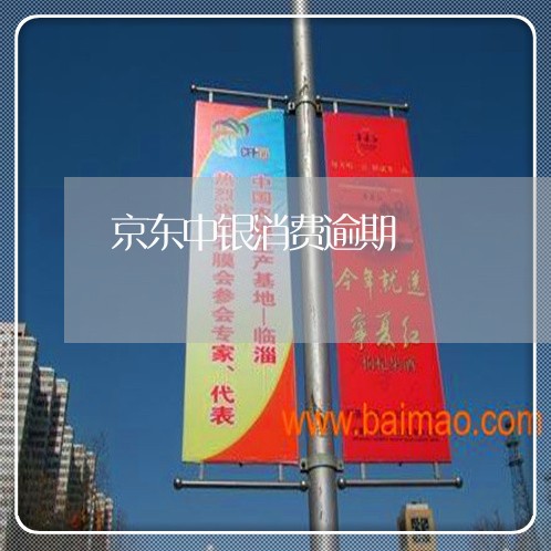 京东中银消费逾期 京东中银消费逾期