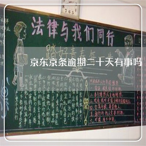 京东京条逾期二十天有事吗 京东京条逾期二十天有事吗