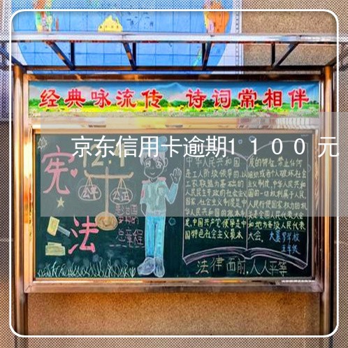 京东信用卡逾期1100元/2023013082926