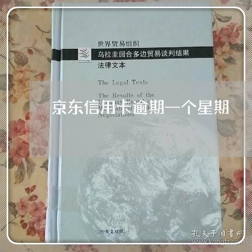 京东信用卡逾期一个星期/2023030162704 京东信用卡逾期一个星期/2023030162704