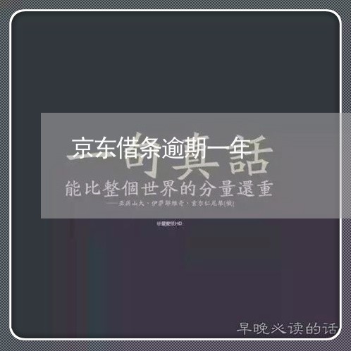 京东借条逾期一年 京东借条逾期一年