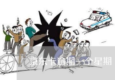 京东卡逾期一个星期/2023030162704 京东卡逾期一个星期/2023030162704