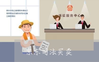京东司法买卖