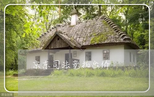 京东司法竞拍出价 京东司法竞拍出价