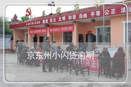 京东州小闪贷逾期 京东州小闪贷逾期