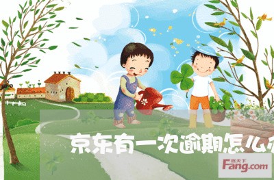 京东有一次逾期怎么办