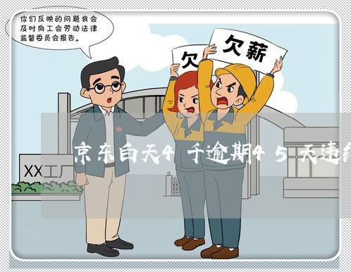 京东白天4千逾期45天违约金