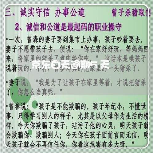 京东白天逾期5天