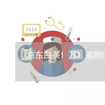 京东白条1万1逾期5个月