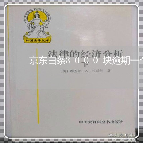 京东白条3000块逾期一个月