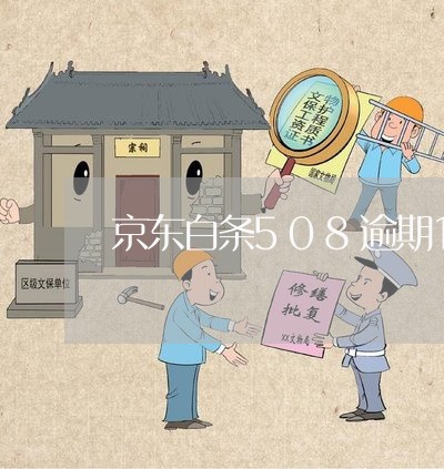 京东白条508逾期155天