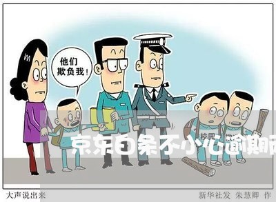 京东白条不小心逾期两天了 京东白条不小心逾期两天了