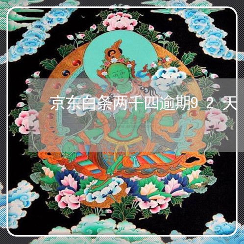 京东白条两千四逾期92天