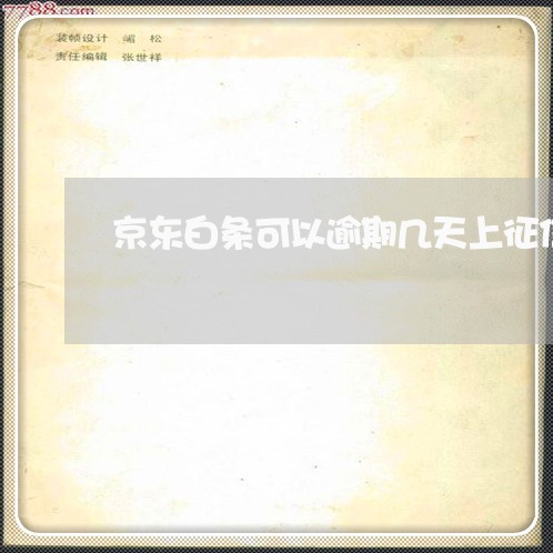 京东白条可以逾期几天上征信