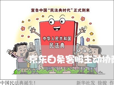 京东白条客服主动协商还款/2023110964941