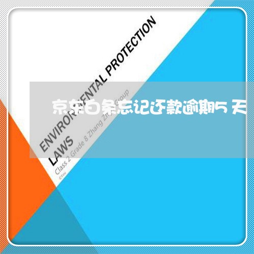京东白条忘记还款逾期5天 京东白条忘记还款逾期5天