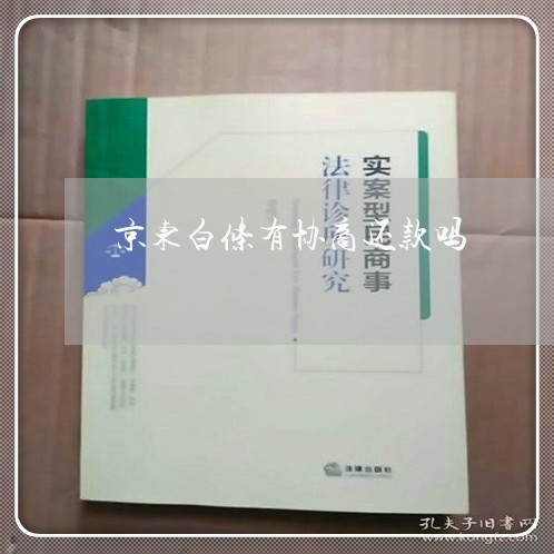 京东白条有协商还款吗/2023110848481