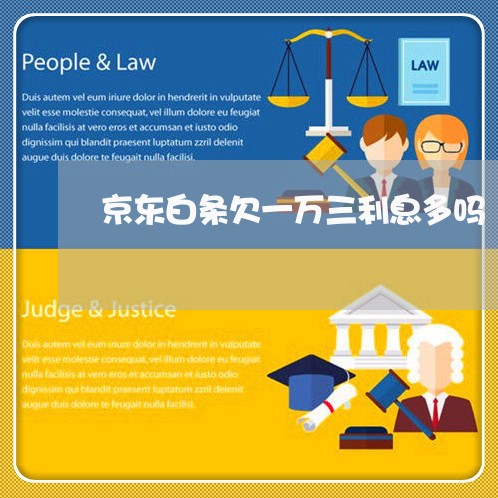 京东白条欠一万三利息多吗