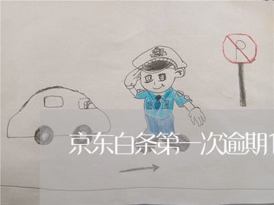 京东白条第一次逾期11天