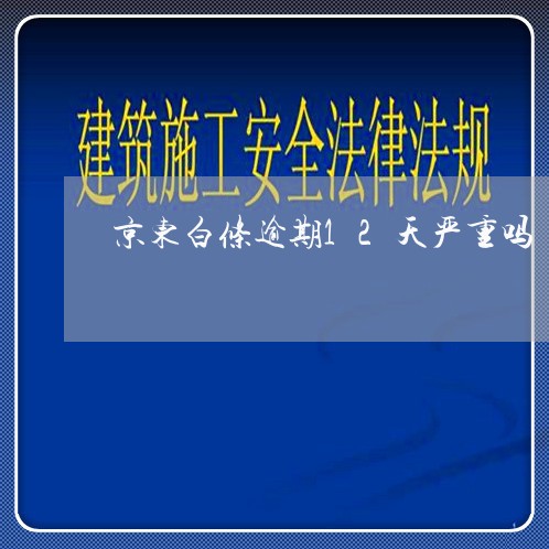 京东白条逾期12天严重吗