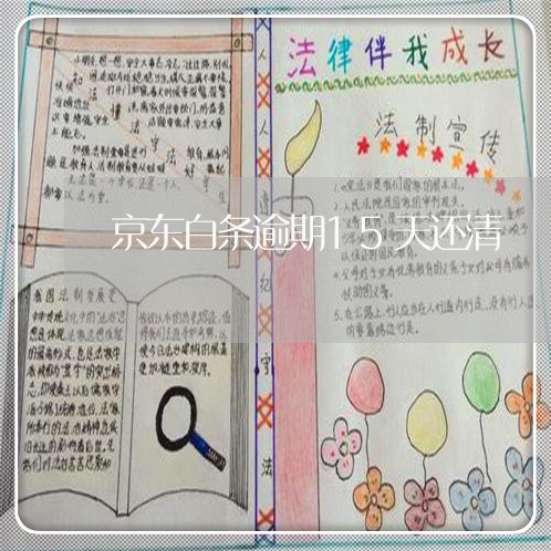 京东白条逾期15天还清 京东白条逾期15天还清
