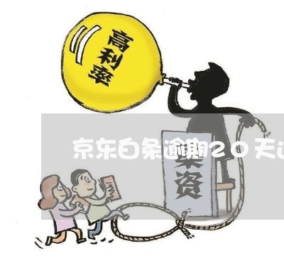 京东白条逾期20天还可以用吗 京东白条逾期20天还可以用吗