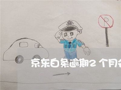 京东白条逾期2个月会失信吗 京东白条逾期2个月会失信吗