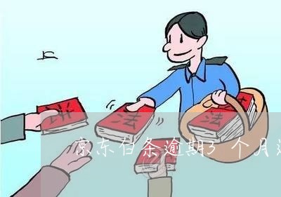 京东白条逾期3个月还多少