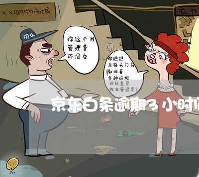 京东白条逾期3小时间多久 京东白条逾期3小时间多久