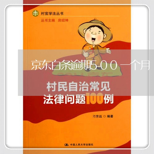 京东白条逾期500一个月 京东白条逾期500一个月