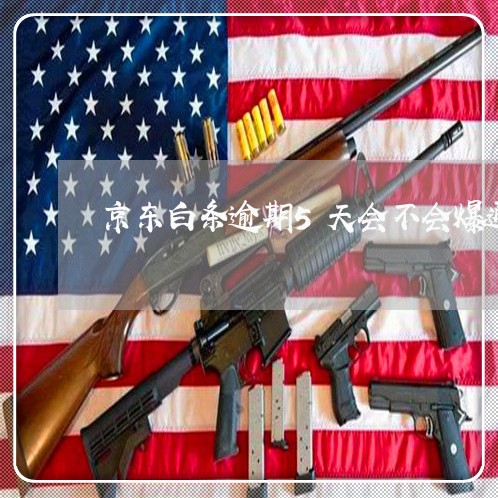 京东白条逾期5天会不会爆通讯录 京东白条逾期5天会不会爆通讯录