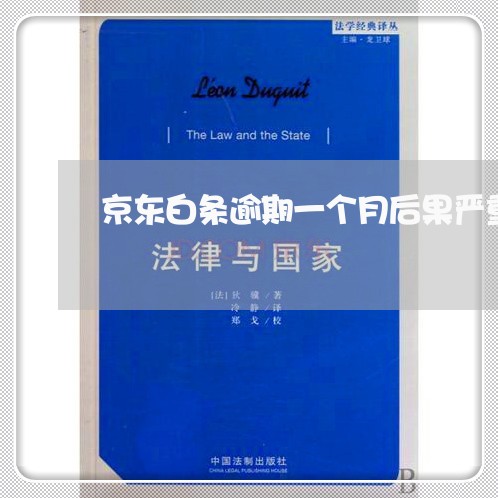 京东白条逾期一个月后果严重