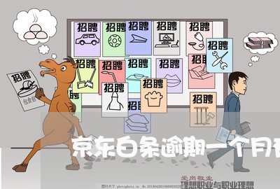 京东白条逾期一个月有何后果 京东白条逾期一个月有何后果