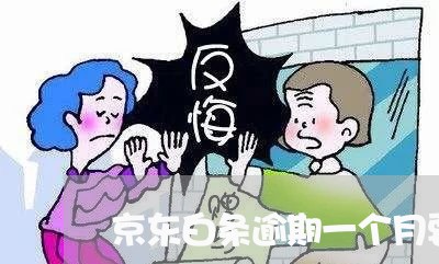 京东白条逾期一个月要紧吗