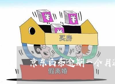 京东白条逾期一个月还完了 京东白条逾期一个月还完了