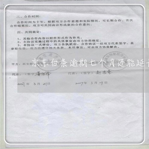 京东白条逾期七个月还能延长吗