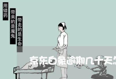 京东白条逾期几十天怎么办