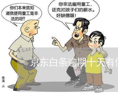 京东白条逾期十天有何后果 京东白条逾期十天有何后果