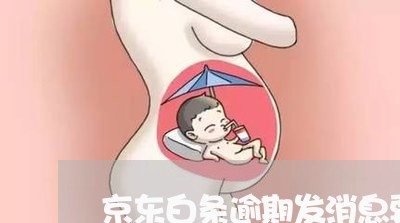京东白条逾期发消息要上门 京东白条逾期发消息要上门