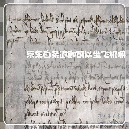 京东白条逾期可以坐飞机嘛 京东白条逾期可以坐飞机嘛