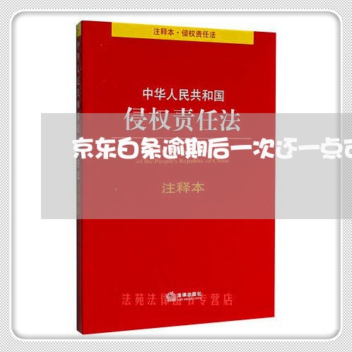 京东白条逾期后一次还一点可以嘛 京东白条逾期后一次还一点可以嘛