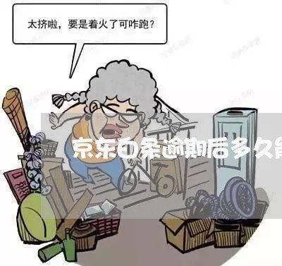 京东白条逾期后多久能再借