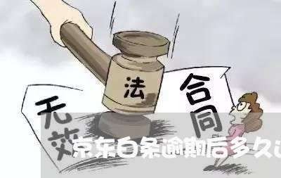 京东白条逾期后多久还能用