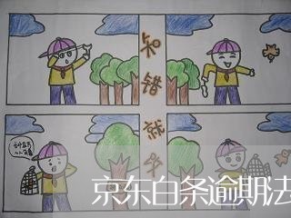 京东白条逾期法院会介入吗 京东白条逾期法院会介入吗