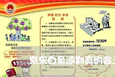 京东白条逾期真的会上诉吗 京东白条逾期真的会上诉吗