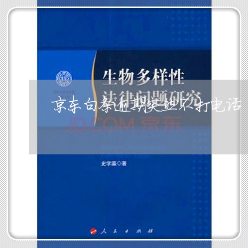 京东白条逾期突然不打电话 京东白条逾期突然不打电话