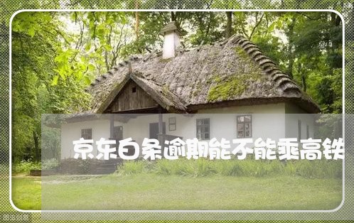 京东白条逾期能不能乘高铁 京东白条逾期能不能乘高铁