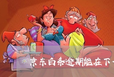 京东白条逾期能在下一个月 京东白条逾期能在下一个月